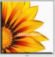/album/photo-gallery-canvas-uri/decoratiuni-de-perete-canvas-lc-0017-jpg/